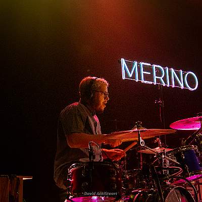 merino3